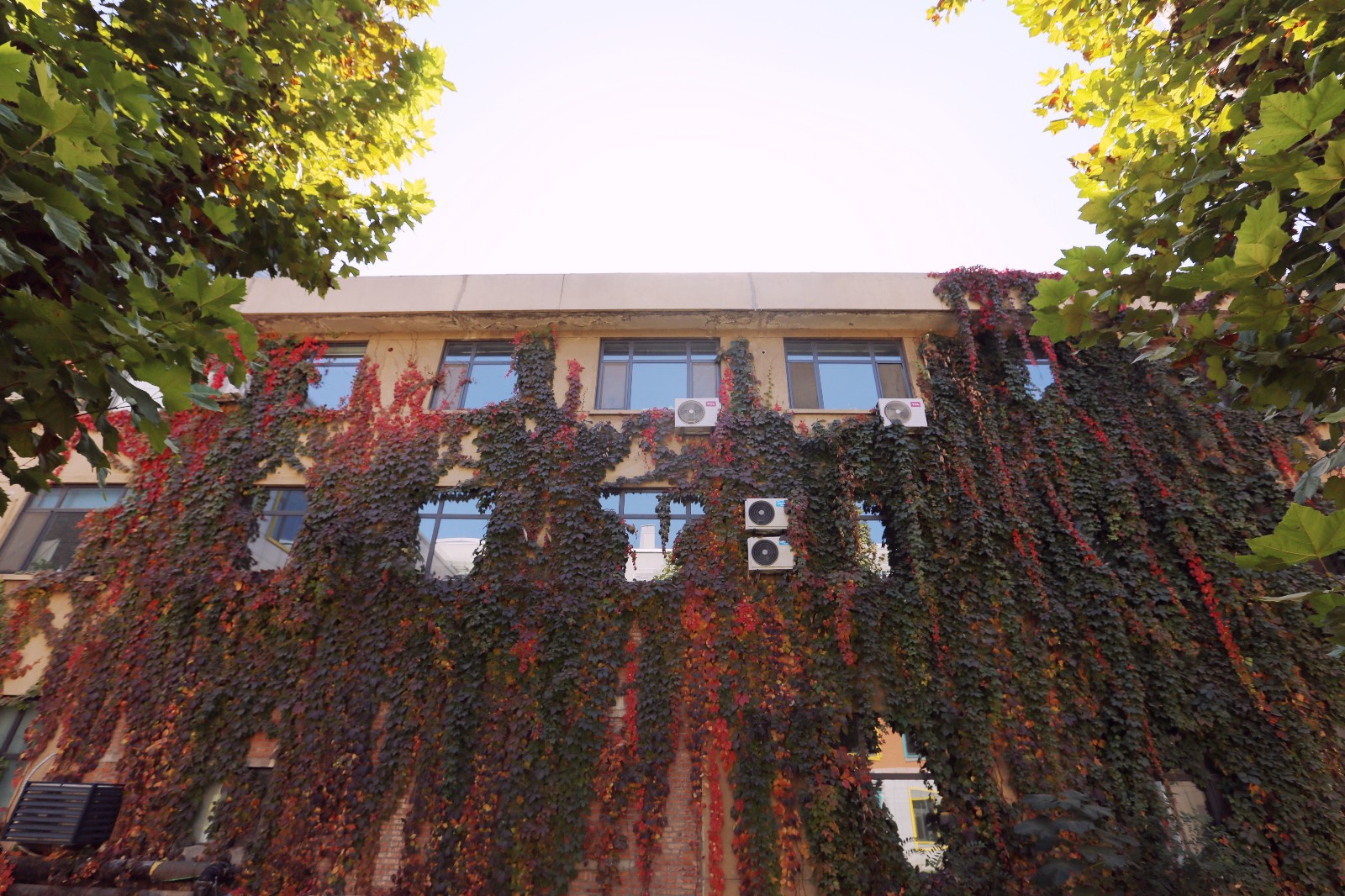 山影星工坊的秋色，與心中的美好不期而遇