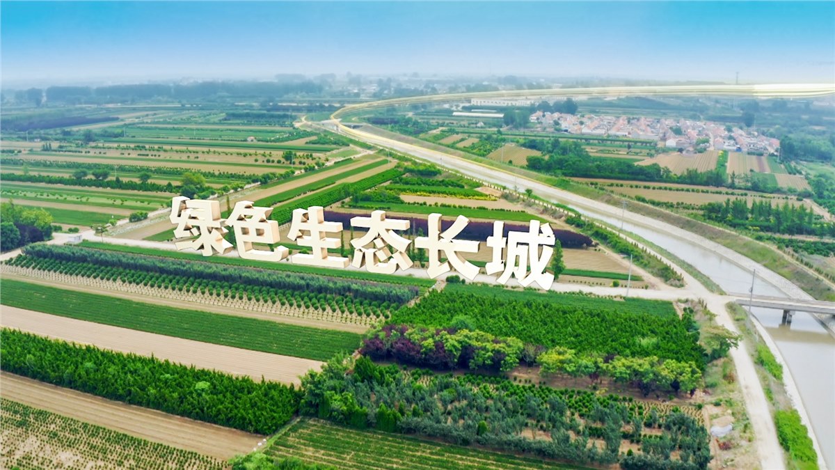 《調(diào)水為民 服務(wù)發(fā)展》齊魯音像凝聚護(hù)水合力