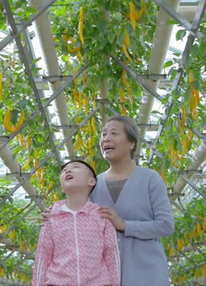 節(jié)水公益廣告——農業(yè)篇